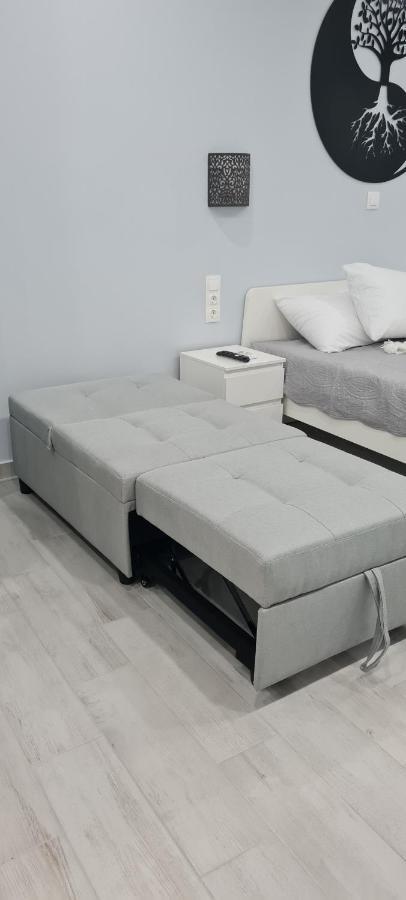 Cozy Apartment With Garden Near Town Center, Fully Renovated. Athens Exterior photo